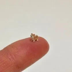 Advanced Micro Dog (AMD)