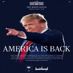 AMERICA IS BACK (AIB)