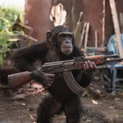 APE WITH GUN (APEGUN)