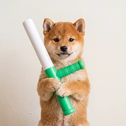 Baton (BATON) Price Prediction