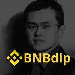 BNBdip (BNBDIP)