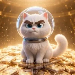 CARDCAT COIN (CARDCAT)