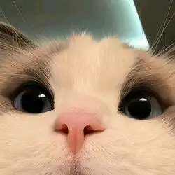 cat (CAT)