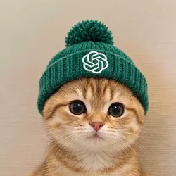 CatGPT (CATGPT)