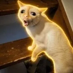 Coughing Cat (COUGH)