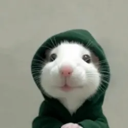 hoodrat (HOODRAT) Price Prediction