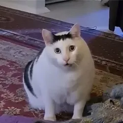 huh