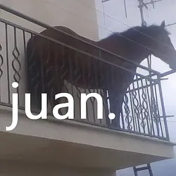 juan (JUAN)