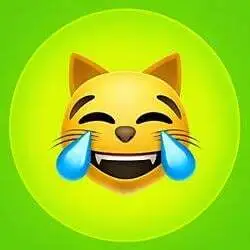 LMEOW (LMEOW)
