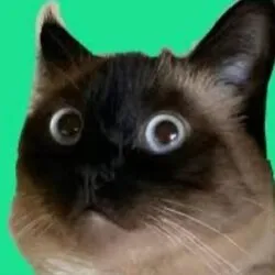 merv the cat (MERV) Price Prediction