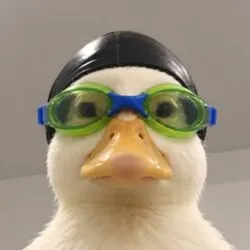 Nasduck (NASDUCK)