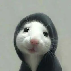 ratthew (RATTHEW)