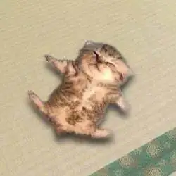 relaxed cat (RELAX)