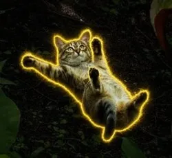 Sliding Cat (滑る猫) Price Prediction