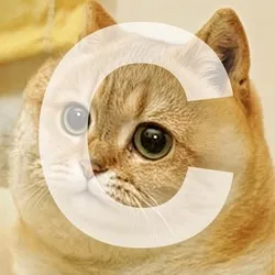 Tsutsuji the Cate (CATE) Price Prediction