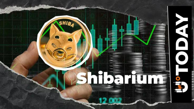 shibarium-transactions-hit-multiweek-high-up-1451-in-four-days