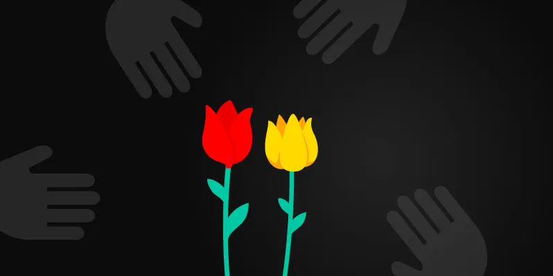 What Is Tulip Mania?