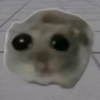 什麼是HAMMY