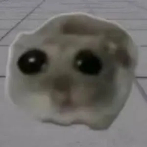如何買HAMMY?