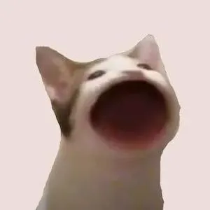 How to Buy POPCAT?