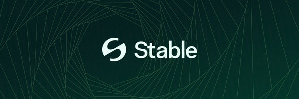 由 USDT 驅動的 StableChain，圖片來源：@stable on X